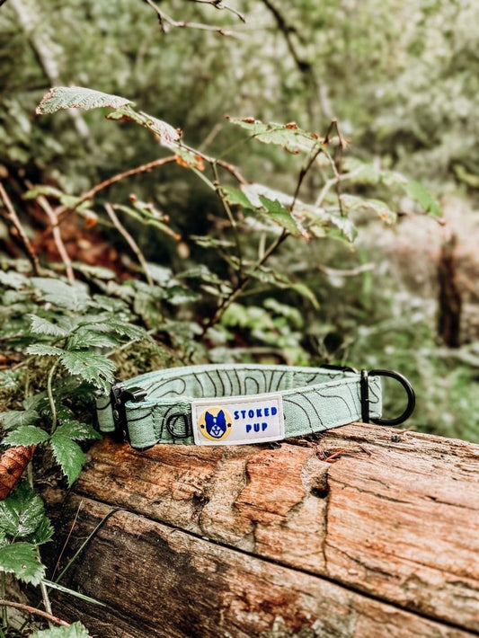 Dog collar made of organic hemp and cotton in the beautiful nature